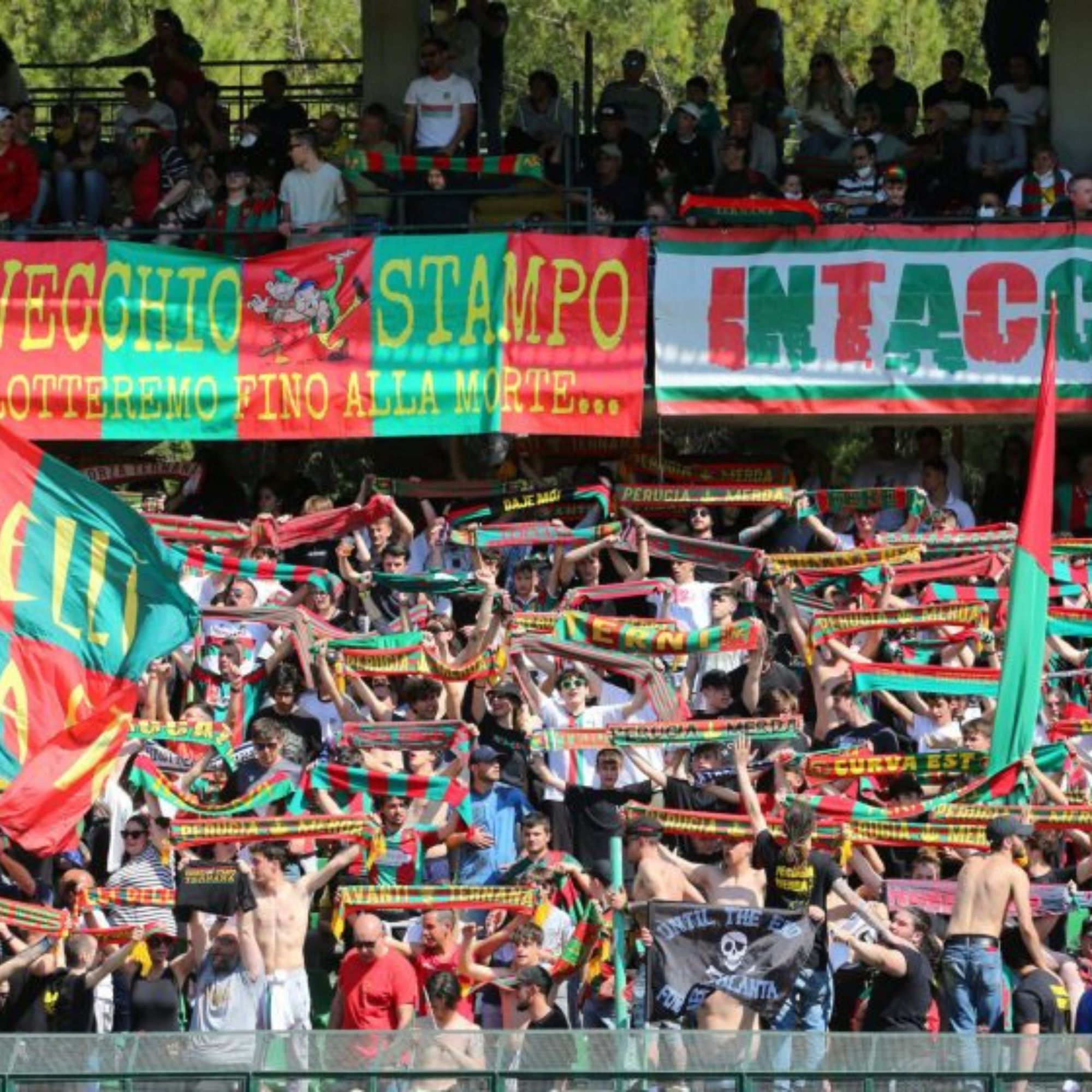 ternana